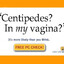Centipedes?