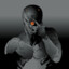 Grayfox