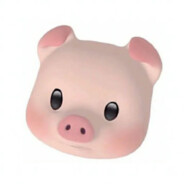 猪の奇妙冒险（QQ）