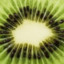 Washed Kiwi