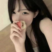 我在北方想起你