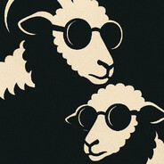 Twoblindsheep
