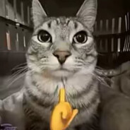 传奇乱泼王高松灯