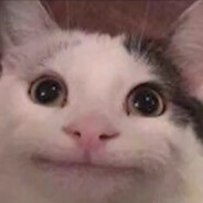 鸣潮皇帝朱园张