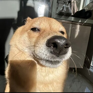 晚安