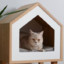 Cat in a Hut