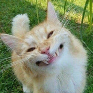 САЙБЕРБУЛЛИНГ