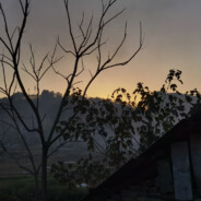 星期八雨停了很久