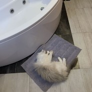 444579408