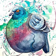 Pigeonzie