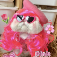 伯乐来了都说好马