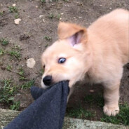 Niko - steam id 76561198263238730