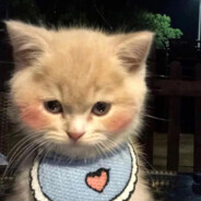 乐迪直接飞到你家给你妈一拳