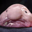 BLOBBERT BOBBERT