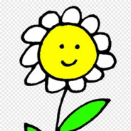 bob 3