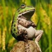 惡膜某民秒命沒