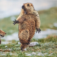 没我怎么体现你强