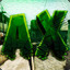ArtonsFox