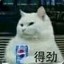 DIANXIA233