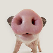 11岁cncs完美d加通天带