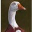 Gentleman Goose