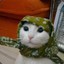 MÜSLİM CAT