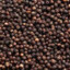 BLACKpepper