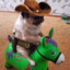 Cowboy Pug