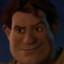 Handsome Shrek