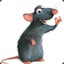 rat 2