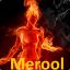 Merool