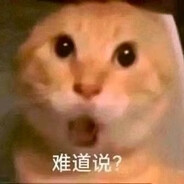 哈基米南北鲁多