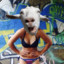 reegeegoatfriend
