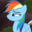 Rainbow Dash