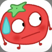 一份西红柿炒蛋