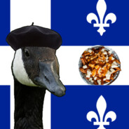 Canadian Goose