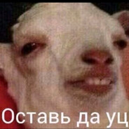 швепси