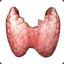 Infamous_Thyroid