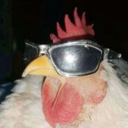 Casus - steam id 76561199773398721