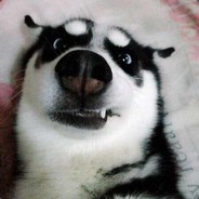 美团外卖送啥都快