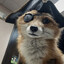 Raposa Pirata SKINS