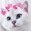Будьласочка ♥
