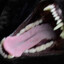 niccolococo