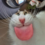 theHypettu avatar