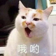 黄群星的大宝贝