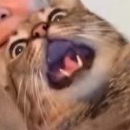 Snech