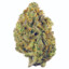 Super Lemon Haze