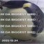 Sipor