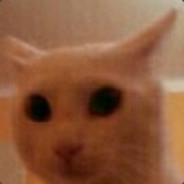 CodCat