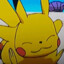 pikashoe